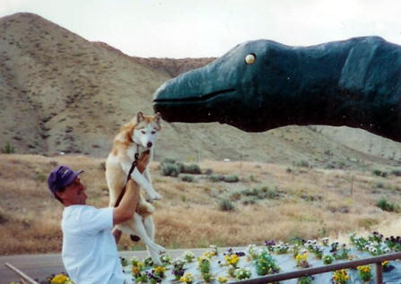 Dad feeding Salcha to a dinosaur